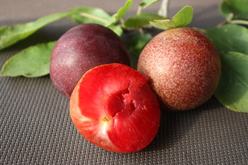 Fruchtfleisch einer Pflaume