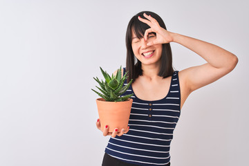 Young beautiful Chinese woman holding cactus pot over isolated white background with happy face smiling doing ok sign with hand on eye looking through fingers