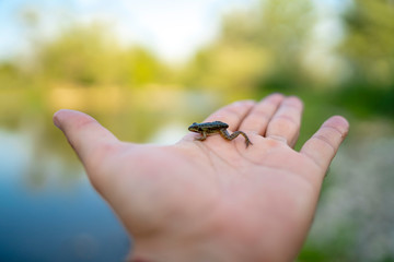 little river flog in hand