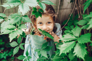 Little girl in blue dress between green leaves of grapes.