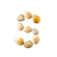 Letter "s" composed from seashells, isolated on white background