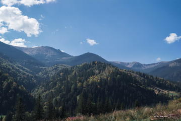 Fototapeta na wymiar The mountains on a sunny day with clouds and coniferous forest. Landscape
