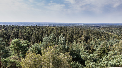 Wildlife sanctuary Hahnheide near Trittau - view from the watch tower