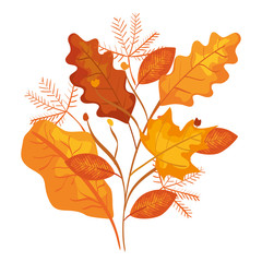 autumn branch and dry maple leafs decoration