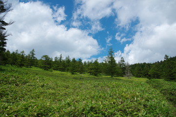 高原ハイキング