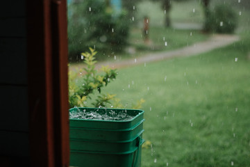 bucket catching rain water