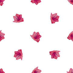 Hibiscus pattern. Tropic palm leaf. Seamless background