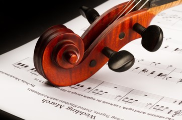 Violin.