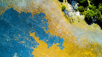 Aerial view of grass and sand near an island covered with bushes near the Okavango Delta in Botswana