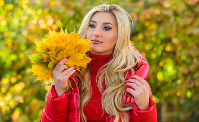 Naklejka na ściany i meble Autumn is her favorite season of year. Woman walk in autumn park. Girl makeup dreamy face hold bunch maple leaves. Lady posing with leaves autumn nature background. Autumn favorite season concept