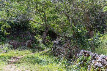 Camino Real, Barichara