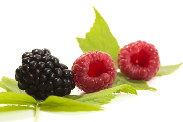 Two ripe raspberries and blackberry on white