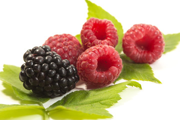 Bunch of fresh ripe raspberries and blackberry