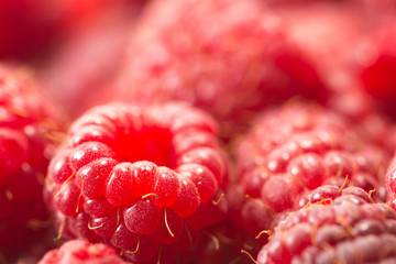 Close up of ripe fresh raspberries