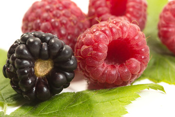 Fresh ripe raspberries and blackberry on white