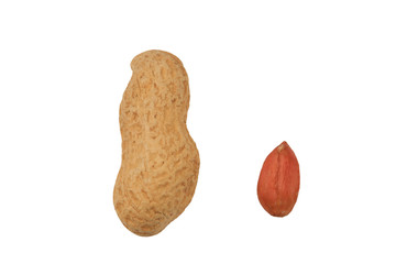 peanuts nuts isolated on white background