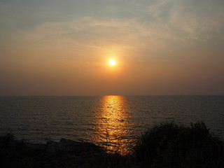 Naklejka premium OLYMPUS DIGITAL CAMERA