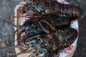 Fresh lobster
