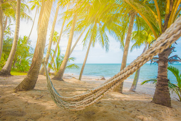 Kokosowe drzewa przy plaży - obrazy, fototapety, plakaty