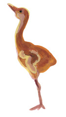 鶴の雛　絵の具