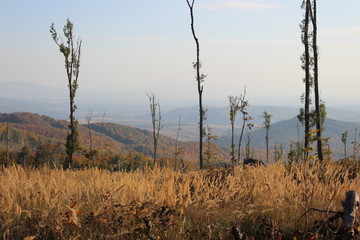 Obraz premium view of mountains