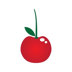 cherry logo vector