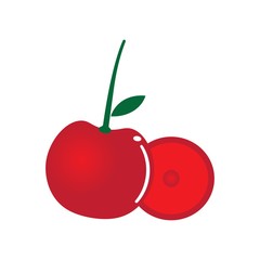 cherry logo vector