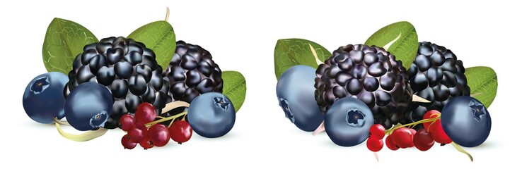 3D realistic Blackberry, red currant berry and Blueberry isolated on white background. Set fresh, summer berry with green leaft. Banner. Vector illustration.