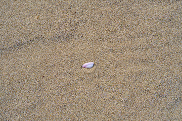 Beach Background with beautiful white foamy and wave from the sea,beach top view.