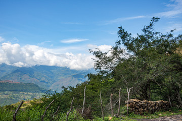 Camino Real, Braichara
