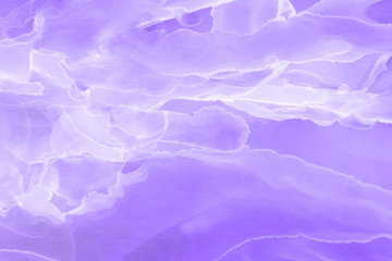 Obraz premium Hand painted alcohol ink background. Abstract delicate violet texture. Contemporary feminine wallpaper. 