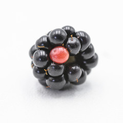 Gros plan d'une mûre