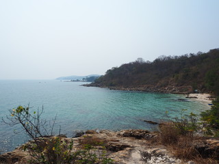 Fototapeta premium OLYMPUS DIGITAL CAMERA