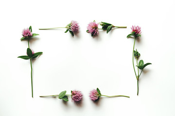 Composition Made Of Pink Clover