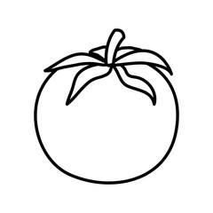 fresh tomato vegetable nature icon