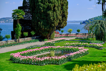 Magnificent park with flowers at the time of flowering.
