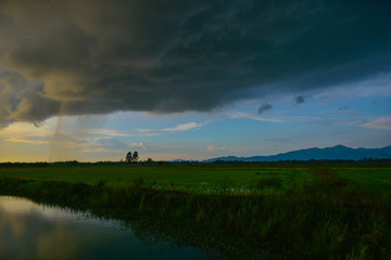 Black clouds that form as rain at fields and have swamp.