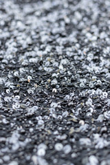 Black fabric strewn with sequins and small beads
