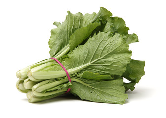 Small Chinese cabbage on white background 