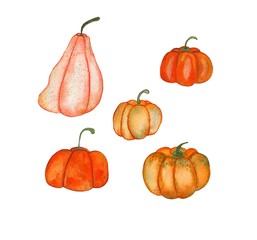Watercolor set of autumn multi-colored pumpkins. Hand-drawn with watercolors and gouache. Pumpkins are red, orange, green and pink. Suitable for all types of design.