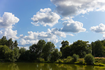 trees near river and blue cloudy sky