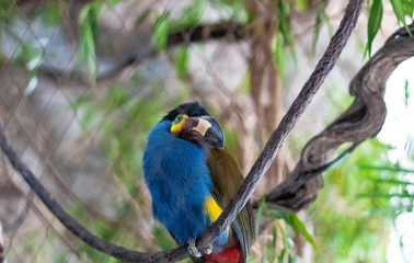 bird on a branch