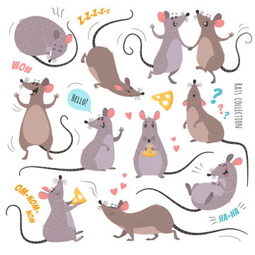 Cartoon rats collection. Vector illustration of funny rats in various poses and actions. Isolated on white.