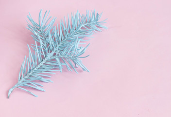 Fir tree branch painted in blue on pink background copy space and paint drops