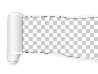 Oblong torn hole from right to left in white sheet of paper with shadow and paper curl. Transparent resulting background. Vector paper mockup.
