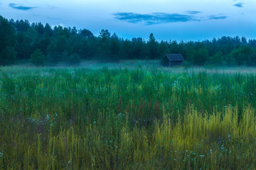 Lonely wooden rural house in the field. Evening fog.