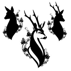 elegant roe deer head among wild rose flowers and butterflies - male and female animal black and white vector design © Cattallina