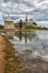 Kremlin in Pskov, Russia. Ancient fortress with swimming ducks in the Velikay river. Vertical photo.
