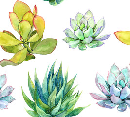 Succulents. Seamless pattern. Watercolor