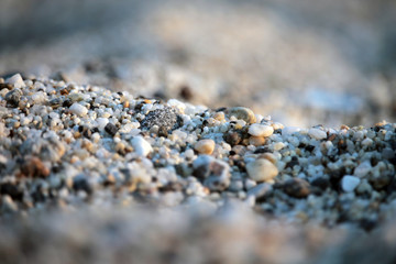 ghiaia in spiaggia 1